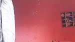 MYD-SPG-SOUTH-12222024- 450