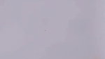 MYD-SPG-SOUTH-12222024- 425
