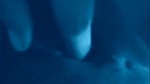 Sexy Bhabi Blowjob