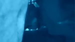 Sexy Bhabi Blowjob