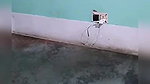 MYD-SPG-SOUTH-12222024- 372