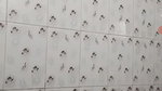 MYD-SPG-SOUTH-12222024- 355