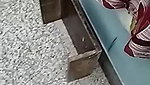 MYD-SPG-SOUTH-12222024- 256