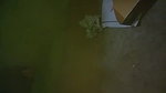 Desi village wife fucking mid night with devar