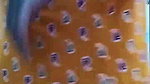 MYD-SPG-SOUTH-12222024- 142