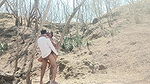 Kavita Vahini i Tatya Jungle Return