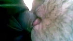 cute gujju wife veena fucked in car