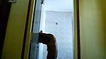 hot assam gf fucked by her college friend