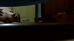 mumbai colg lovers romantic fuck mms