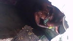 tamil wife voyeur shower