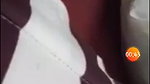 Beautiful Gf Showing Video