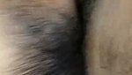 Desi hot bahbhi with hairy pussy riding