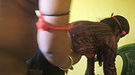Indian daughter-in-law’s tight pussy fucked by old father-in-law during the day (Hindi audio)