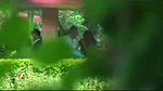 jharkhand girl blowjob in park