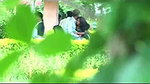 jharkhand girl blowjob in park
