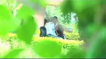 jharkhand girl blowjob in park