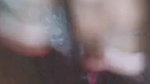 Myd chamet mb collection 1812025 -354