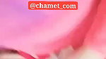 Myd chamet mb collection 1812025 -436