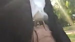 Wah Wat a Pussy Show