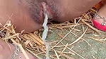 desi bhabhi urineing time video shoot in the field