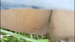 DESI BOY HARDCORE FUCK WITH LADY SERVENT INFRONT OF STEP MOTHER FOREST HARD FUCK.INDIAN VILLAGE WIFE BLOWJOB MOTI GAND WALI BOOB