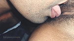Nothing can be understood without watching the best pussy licking videos