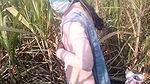 village bhabhi fingering sugarcane
