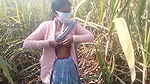 village bhabhi fingering sugarcane