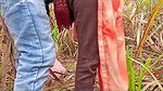 village bhabhi fucked in sugarcane (Doggy Style Pussy Fucking Video)