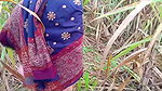 village bhabhi fucked in sugarcane (Doggy Style Pussy Fucking Video)