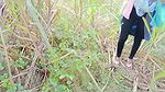 village sister in law fucked field in sugarcane video