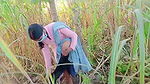 village sister in law fucked field in sugarcane video