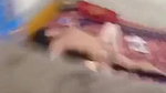 Couple Fucking Captured
