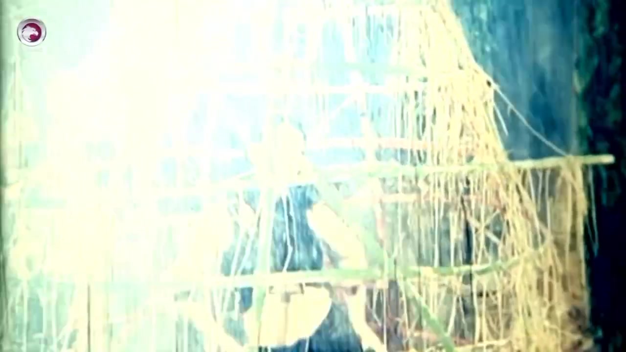 Frame 10