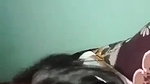 Beautiful girl Fucking hard with moans