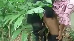 Village Girl Fucking With Young Boy In jungle