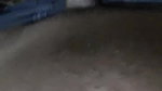 Step Girlfriend Fucked