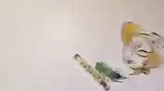 DEsi servnt suking houseowner