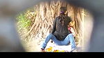agartala colg couple fucking in publuc park