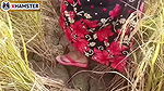 Bengal audio fucking in Paddy Field Nomita Bhabhi