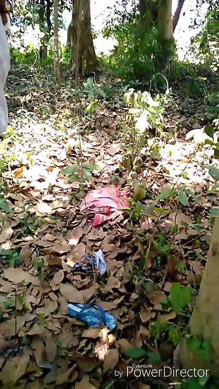 Part 2 I fucked to the branch of the Bengal Audio Tree