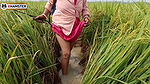 Village nomita spray for rice plants Bengal Audio Dirty