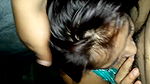 bangladeshi babe blowjob