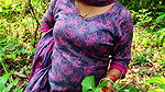 Jungle Sex in Indian Desi Aunty