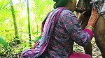 Jungle Sex in Indian Desi Aunty