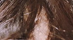 Amateur With Long Hair Gives Hairjob And Fucks. Her Long Hair Is Flaunting And She Gets Fucked From Behind In 4k Quality