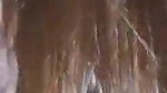 Beautiful Hairy Girl..Riding Reverse Cowgirl