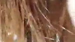 Beautiful Hairy Girl..Riding Reverse Cowgirl