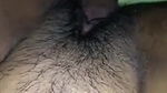 indian hairy pussy