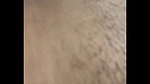 Bhabi sucking dever’s juicy dick when there is no one at home